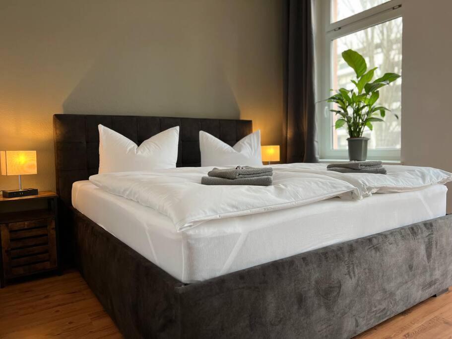 Akk6 Designpartment Naehe Hbf Uni Oper Apartment มัคเดอบวร์ก ภายนอก รูปภาพ
